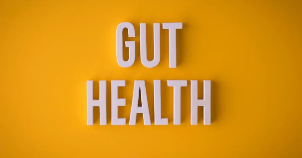 Bright yellow background with bold white text reading 'GUT HEALTH,' highlighting the importance of digestive health.