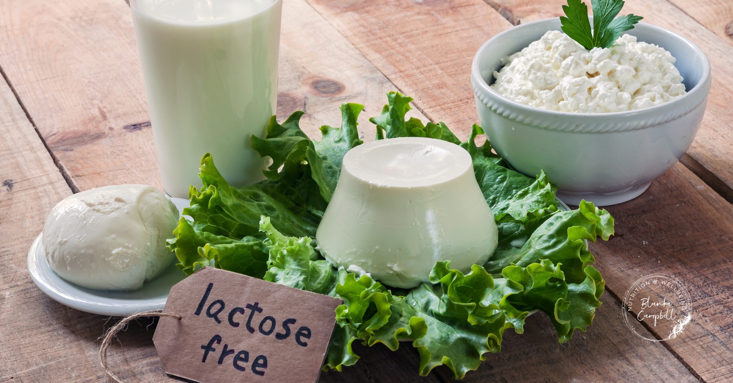 Lactose-free_blog Lactose-free dairy products including milk, soft cheese, panna cotta, and cottage cheese arranged on lettuce leaves on a rustic wooden table.